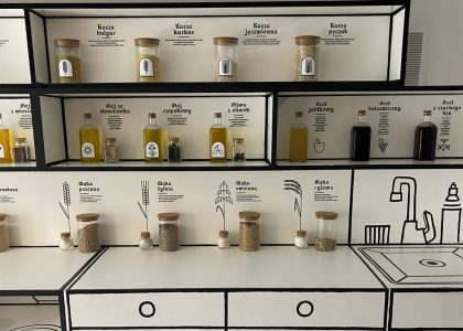 Thumbnail for the post titled: WYCIECZKA DO SANDOMIERZA