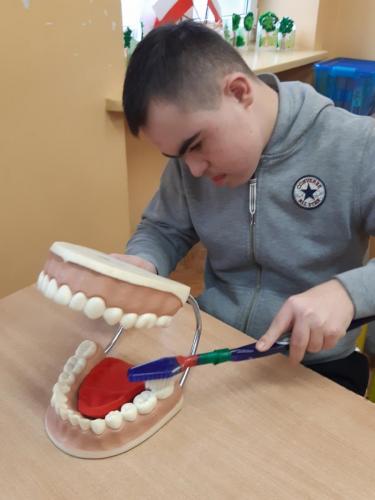 Chłopiec trzyma w dłoni dużą sczoteczkę do zębów i dotyka nią duży model szczęki.